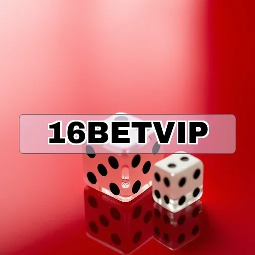 16 betvip Comunidade
